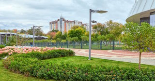 Профессиональное озеленение улиц в Губахе в октябре