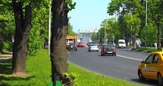 Посадка деревьев и кустарников в Губахе — стоимость от 1244 руб.